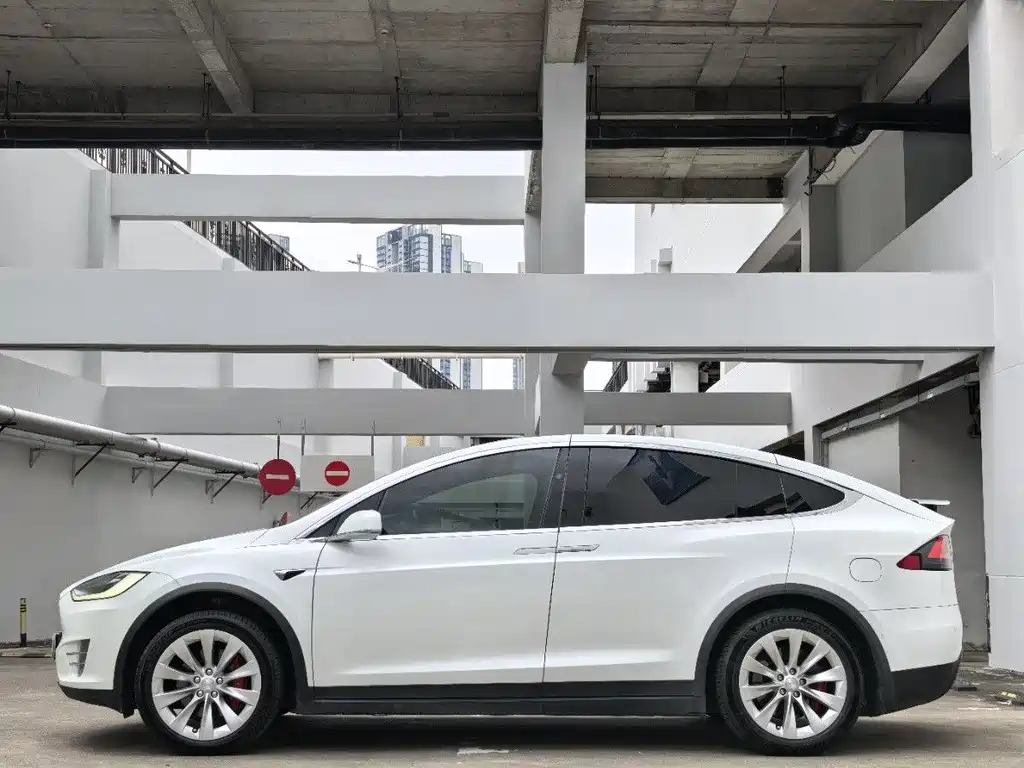 Tesla Tesla Model X 2019 Performance 2019 - thumbnail 4