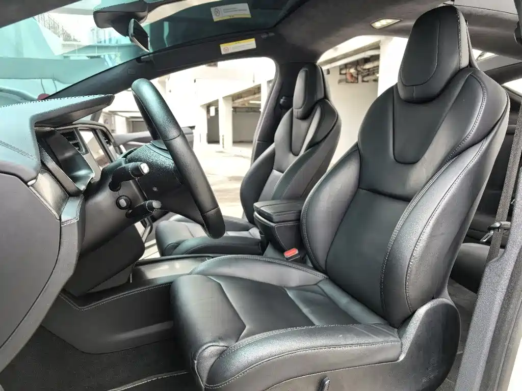 Tesla Tesla Model X 2019 Performance 2019 - thumbnail 5