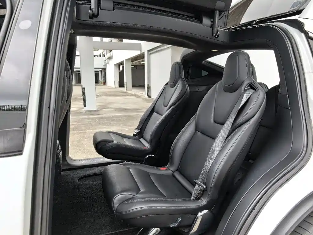 Tesla Tesla Model X 2019 Performance 2019 - thumbnail 7