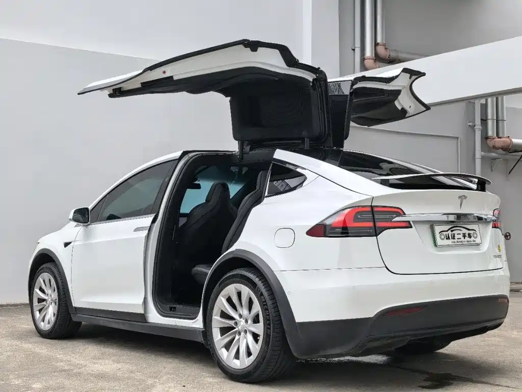 Tesla Tesla Model X 2019 Performance 2019 - thumbnail 9