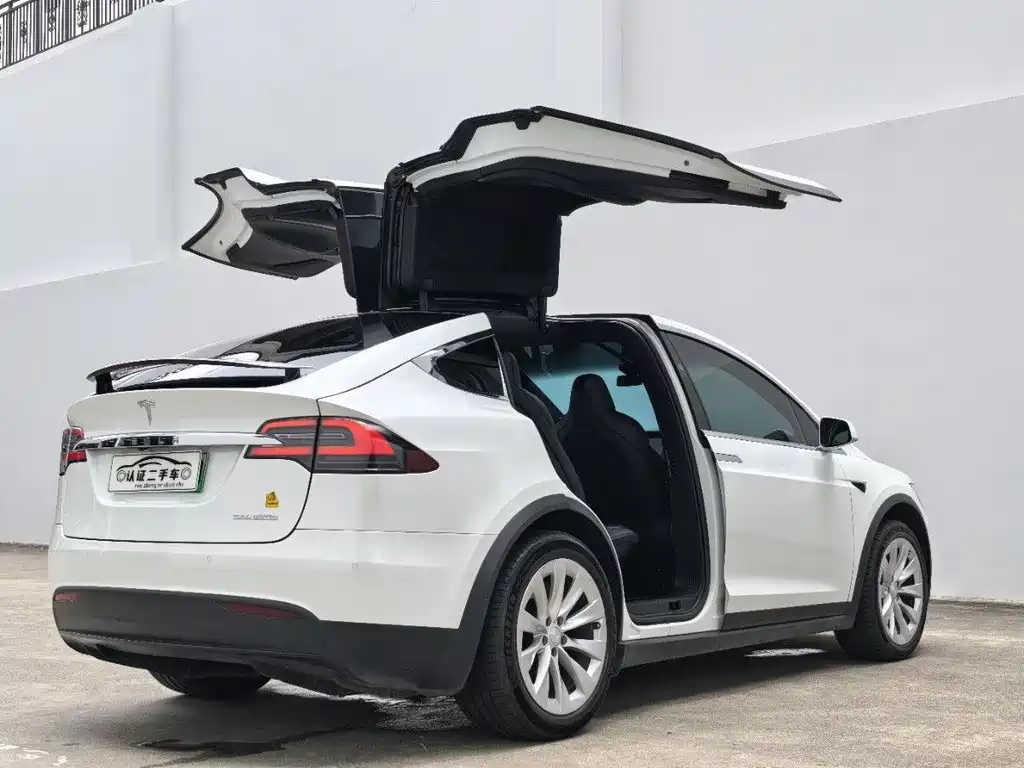 Tesla Tesla Model X 2019 Performance 2019 - thumbnail 10