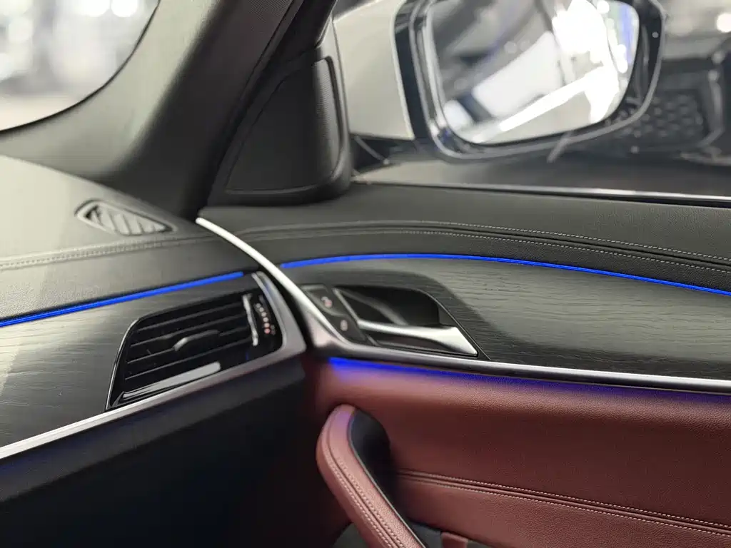 BMW BMW 5 Series 2021 530Li Leading Edition M Sport Package 2021 - thumbnail 13