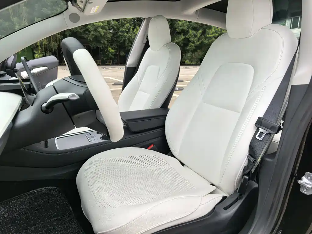 Tesla Tesla Model 3 2021 Standard Range Plus RWD 2021 - thumbnail 5