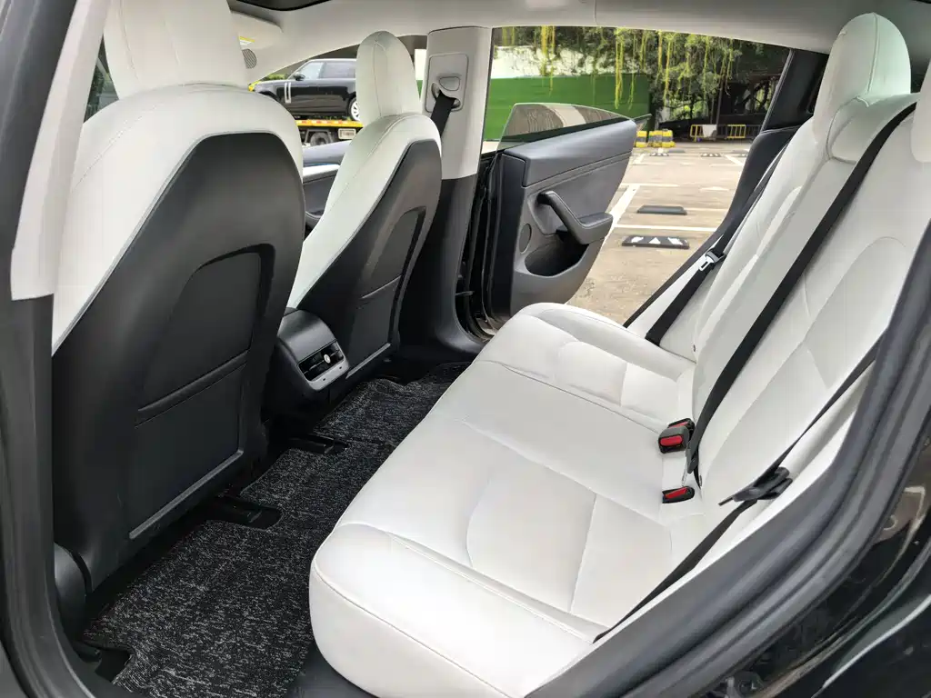 Tesla Tesla Model 3 2021 Standard Range Plus RWD 2021 - thumbnail 7