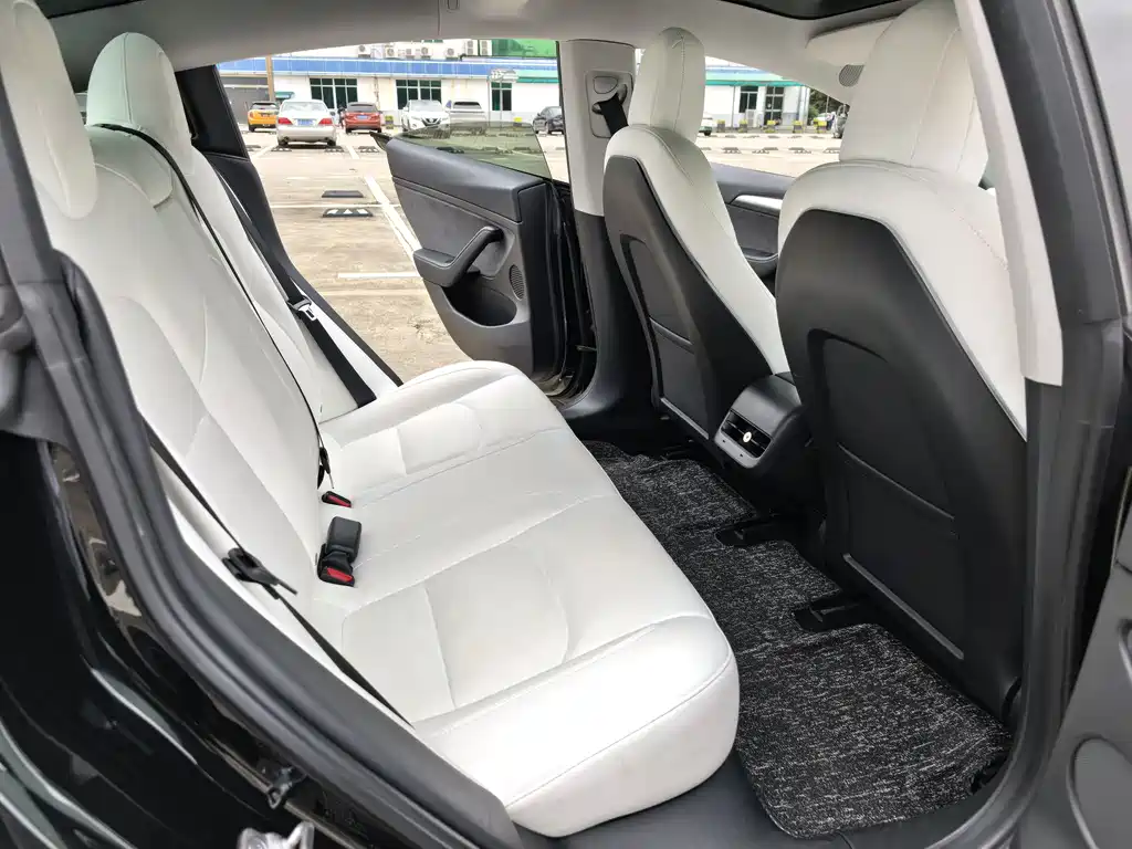 Tesla Tesla Model 3 2021 Standard Range Plus RWD 2021 - thumbnail 8
