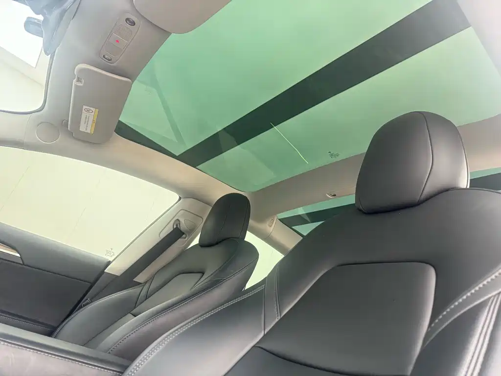 Tesla Tesla Model 3 2022 Rear-Wheel Drive 2022 - thumbnail 10