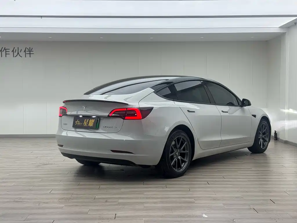 Tesla Tesla Model 3 2022 Rear-Wheel Drive 2022 - thumbnail 13