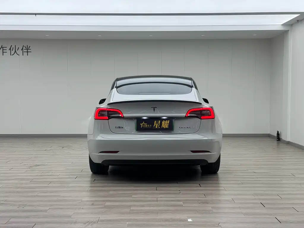 Tesla Tesla Model 3 2022 Rear-Wheel Drive 2022 - thumbnail 15