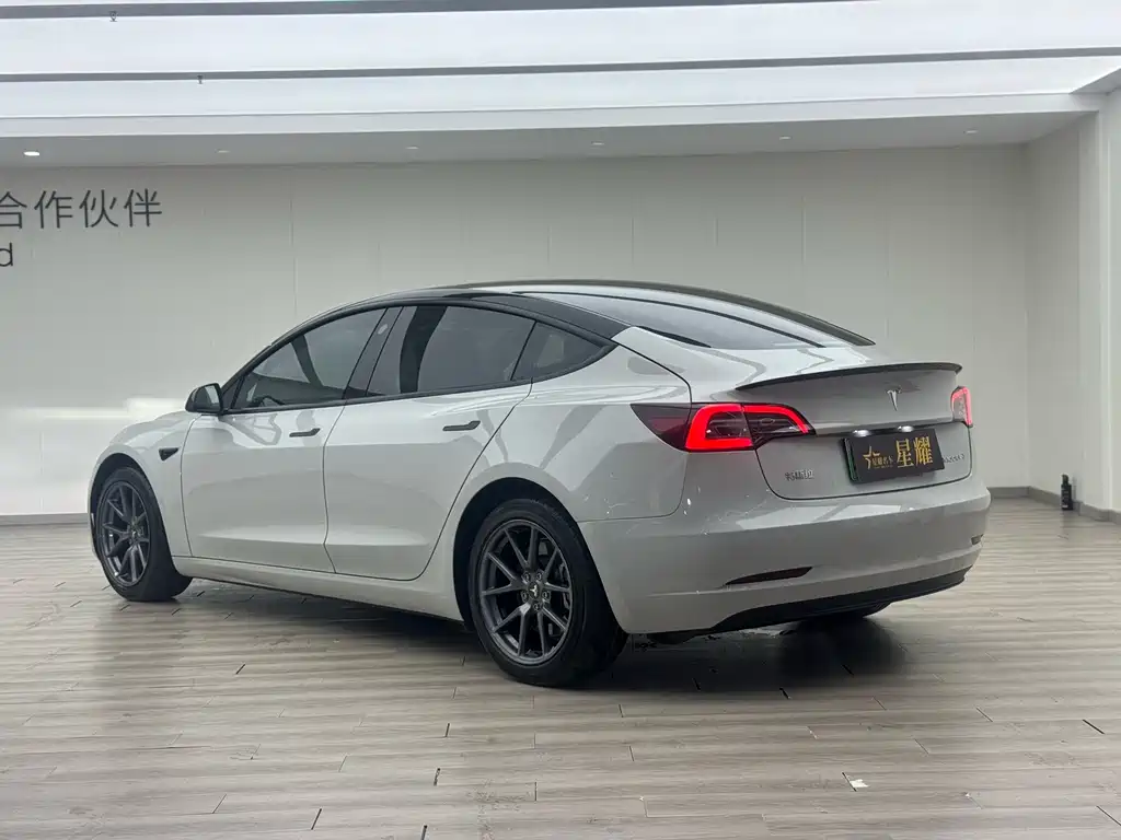 Tesla Tesla Model 3 2022 Rear-Wheel Drive 2022 - thumbnail 16