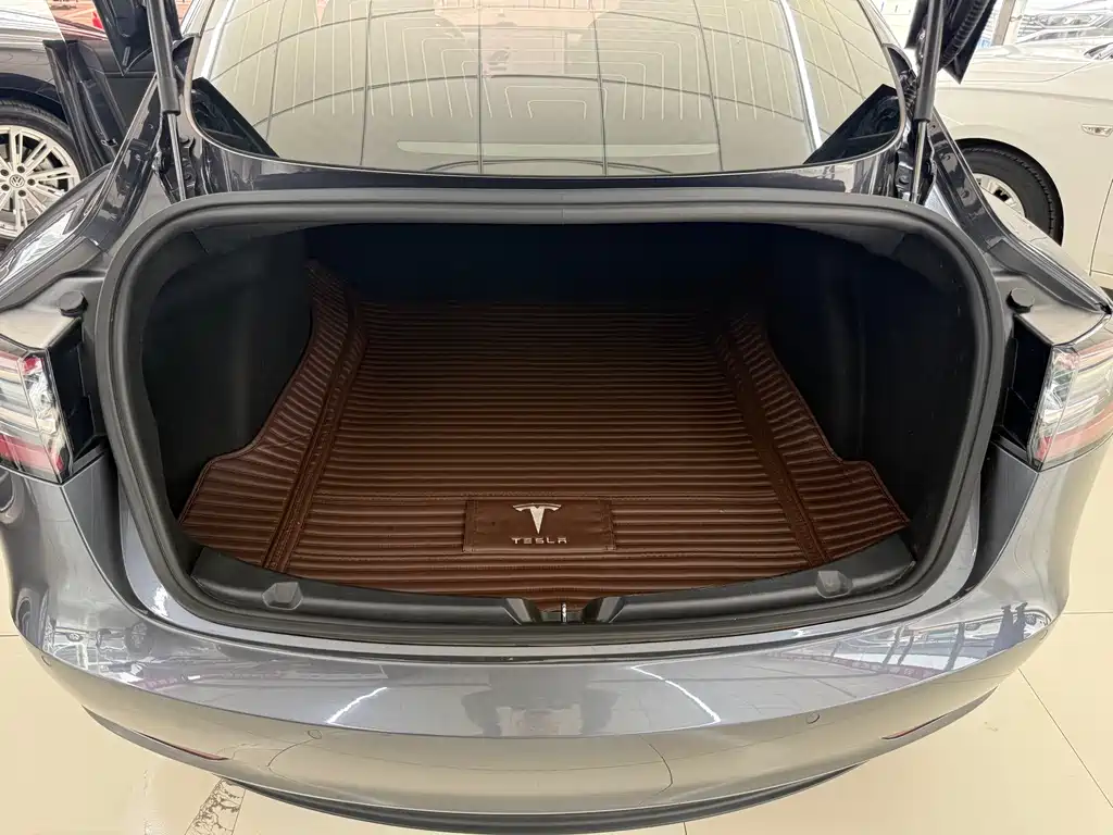 Tesla Tesla Model 3 2019 Standard Range Plus RWD 2020 - thumbnail 10