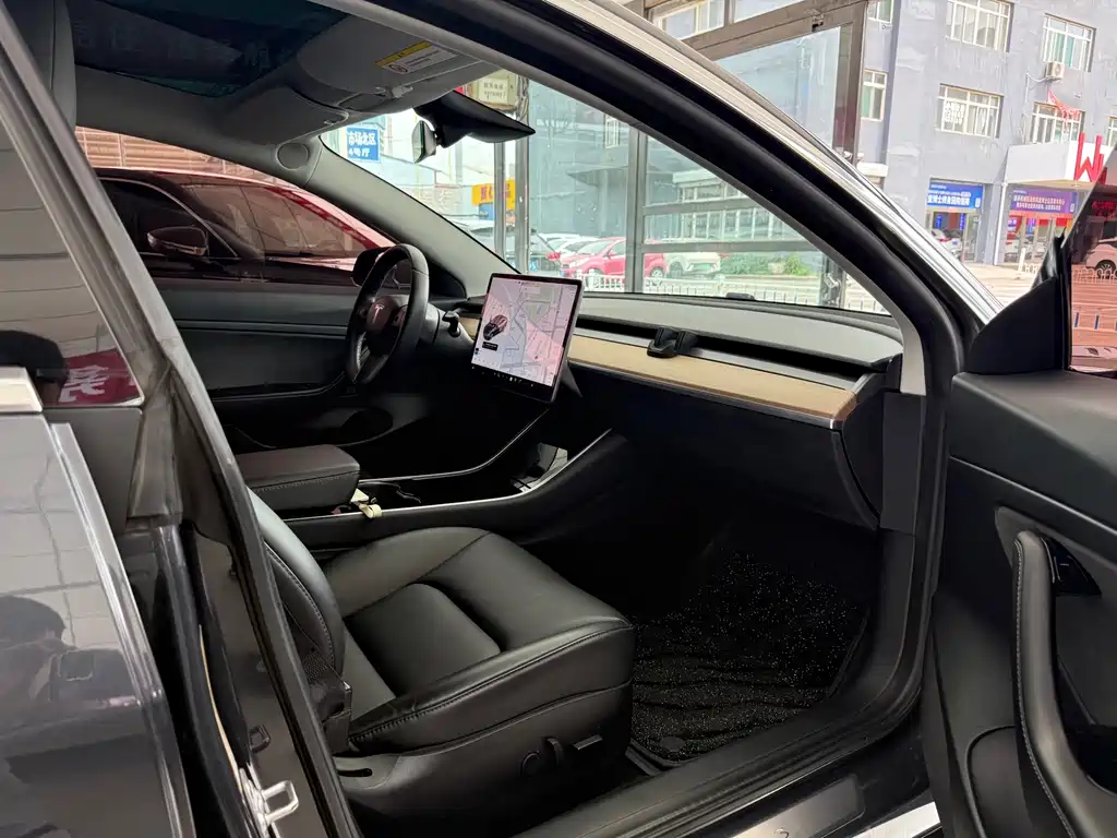 Tesla Tesla Model 3 2019 Standard Range Plus RWD 2020 - thumbnail 12