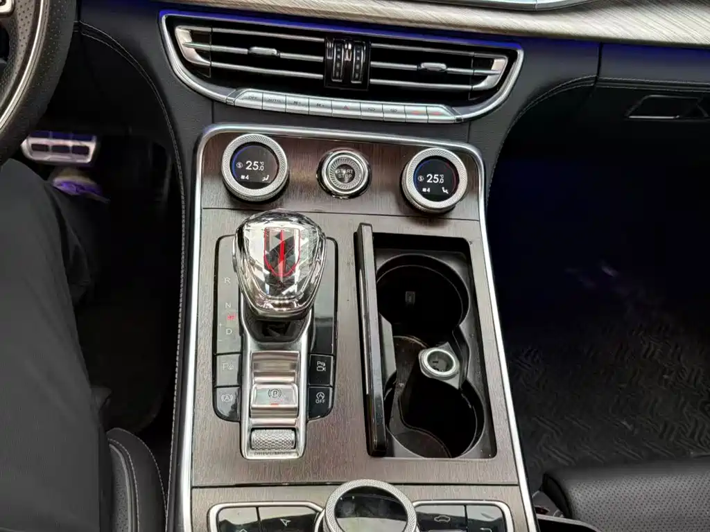 Hongqi Hongqi H9 2020 Facelift 2.0T Zhilian Qichang Edition 2021 - thumbnail 19