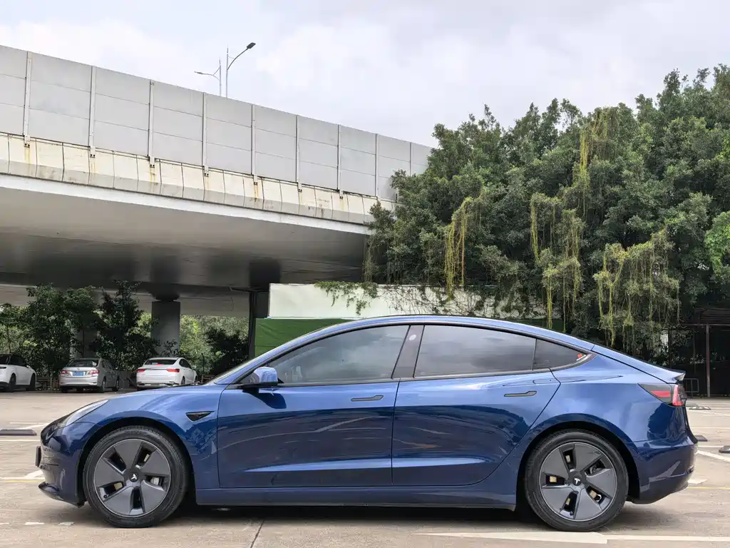 Tesla Tesla Model 3 2021 Standard Range Plus RWD 2021 - thumbnail 4