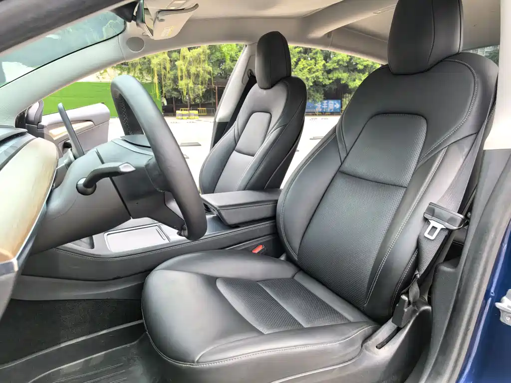 Tesla Tesla Model 3 2021 Standard Range Plus RWD 2021 - thumbnail 5