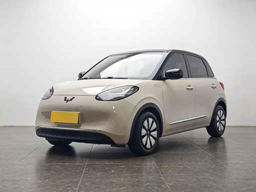 Wuling Motors Wuling Bingo 2023 203km Comfort Edition 2023