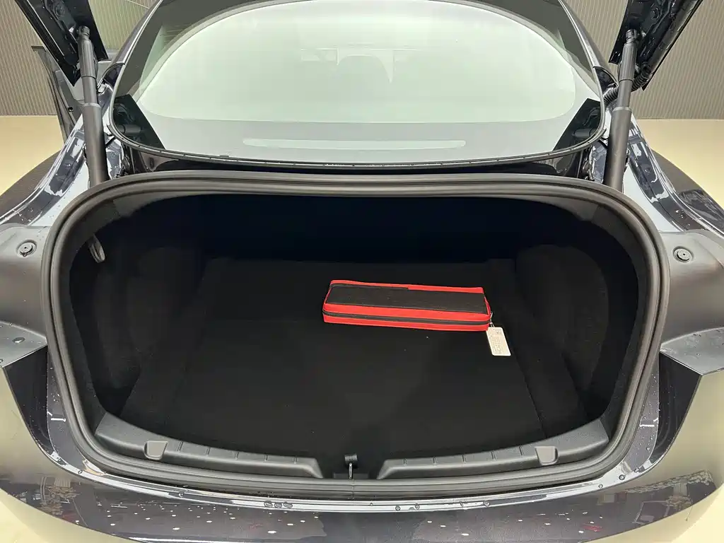 Tesla Tesla Model 3 2025 Rear-Wheel Drive 2026 - thumbnail 11