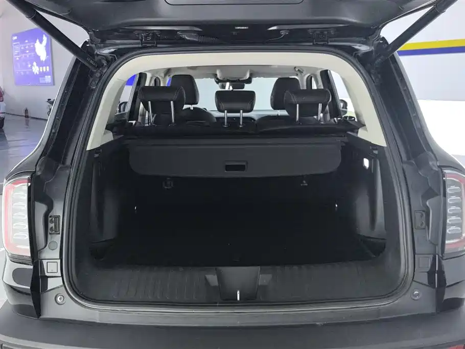 Haval Haval Big Dog 2021 1.5T DCT 2WD Border Collie Edition 2022 - thumbnail 4