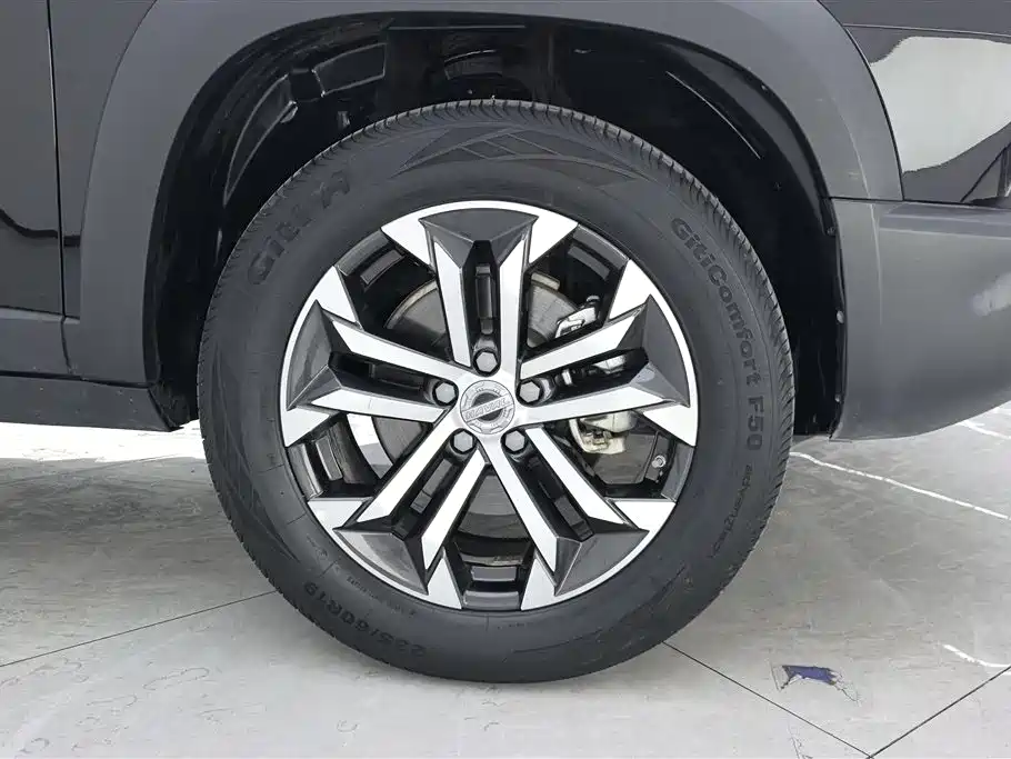 Haval Haval Big Dog 2021 1.5T DCT 2WD Border Collie Edition 2022 - thumbnail 6