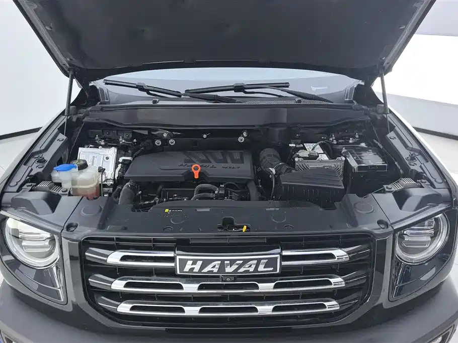 Haval Haval Big Dog 2021 1.5T DCT 2WD Border Collie Edition 2022 - thumbnail 10
