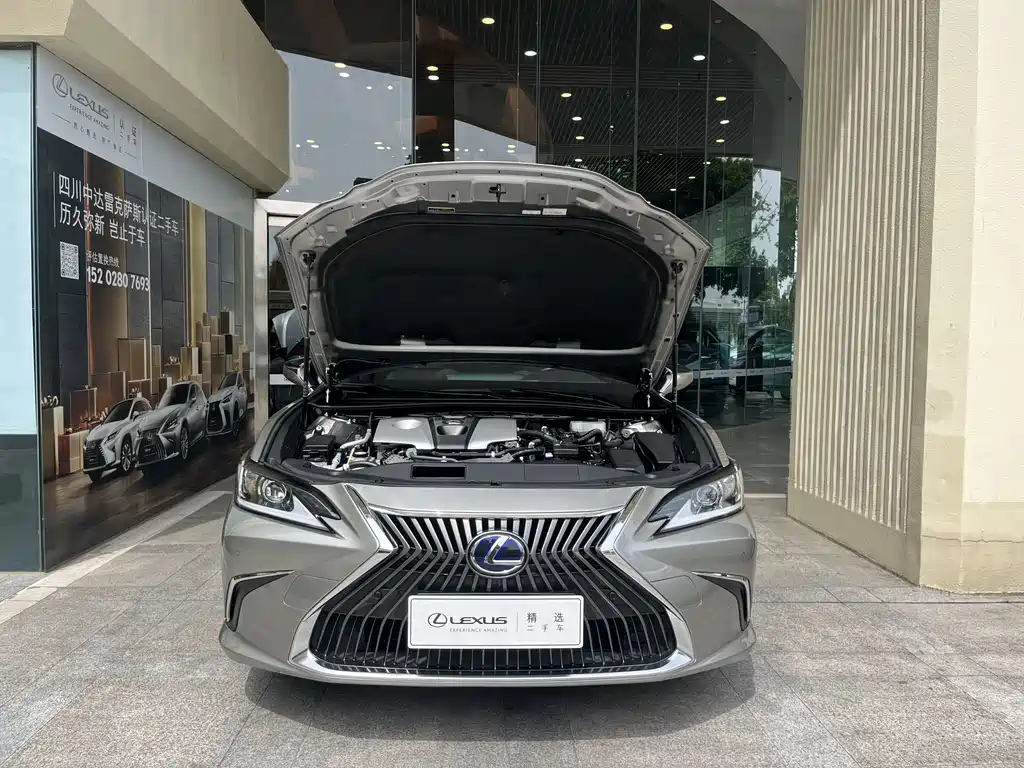 Lexus Lexus ES 300h Excellence Edition (China V) 2019 - thumbnail 6