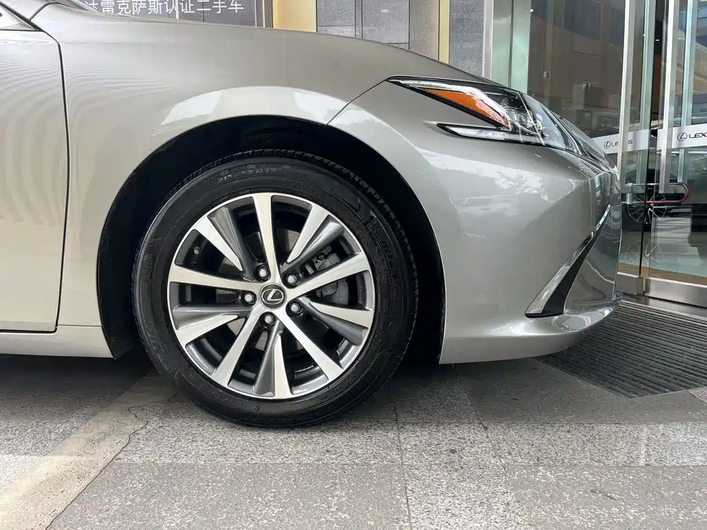 Lexus Lexus ES 300h Excellence Edition (China V) 2019 - thumbnail 7
