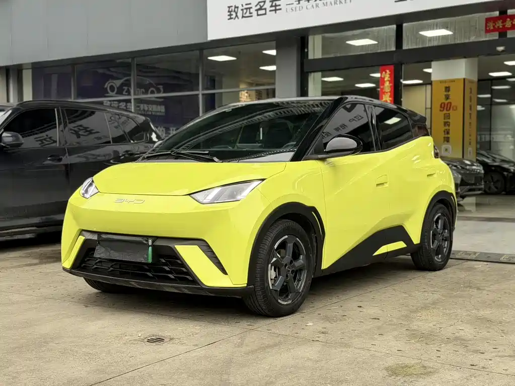 BYD BYD Seagull 2023 Flying Edition 2023