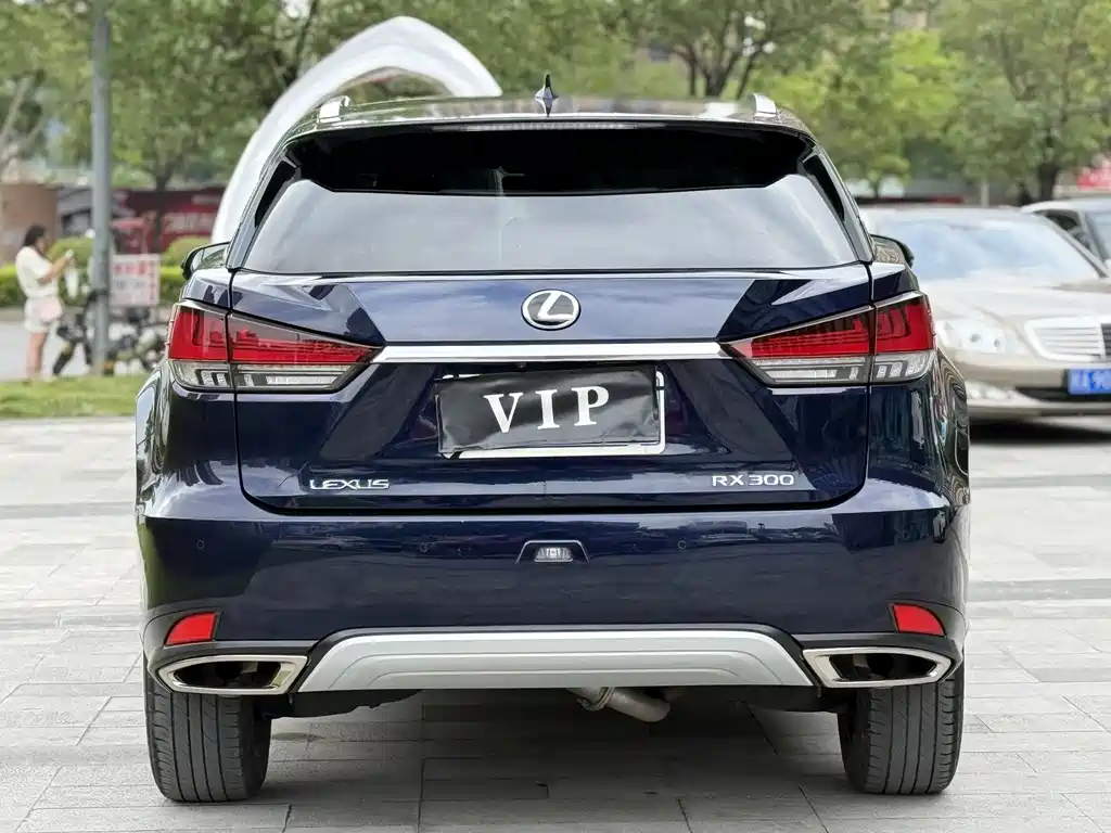 Lexus Lexus RX 300 AWD Elegant Edition 2022 - thumbnail 3