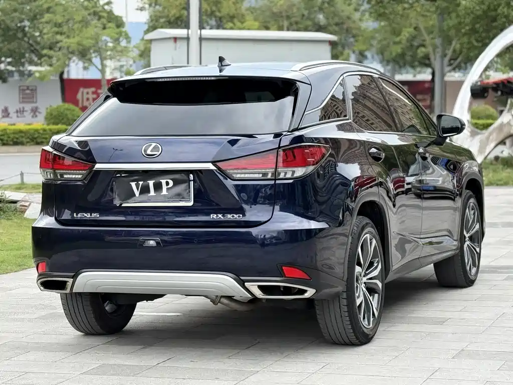 Lexus Lexus RX 300 AWD Elegant Edition 2022 - thumbnail 4