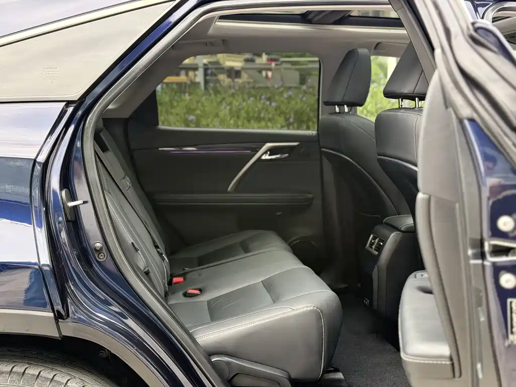 Lexus Lexus RX 300 AWD Elegant Edition 2022 - thumbnail 7