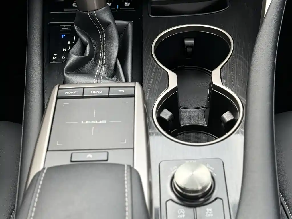 Lexus Lexus RX 300 AWD Elegant Edition 2022 - thumbnail 12