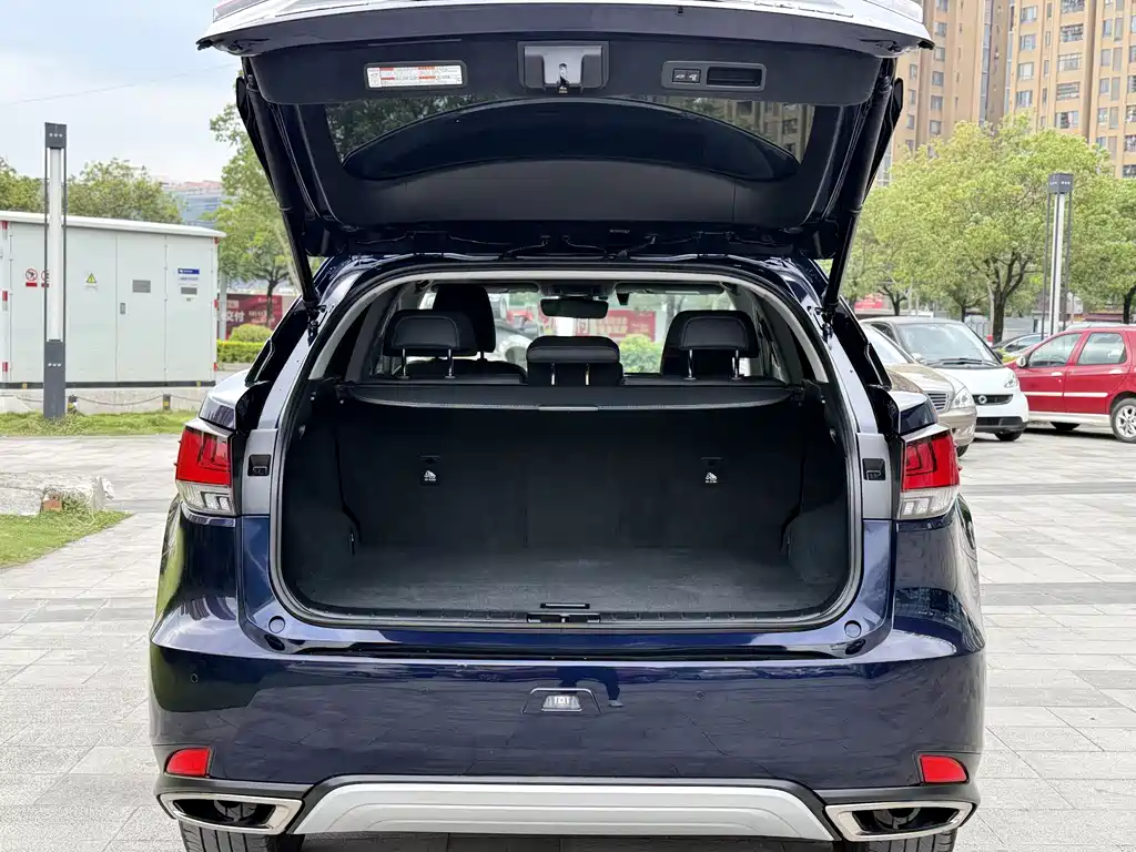 Lexus Lexus RX 300 AWD Elegant Edition 2022 - thumbnail 20