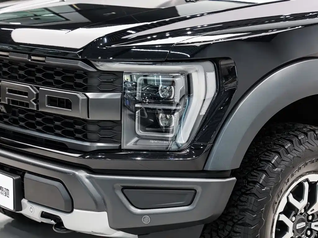 Ford 2023 Ford F-150 Raptor 3.5T 2023 - thumbnail 8