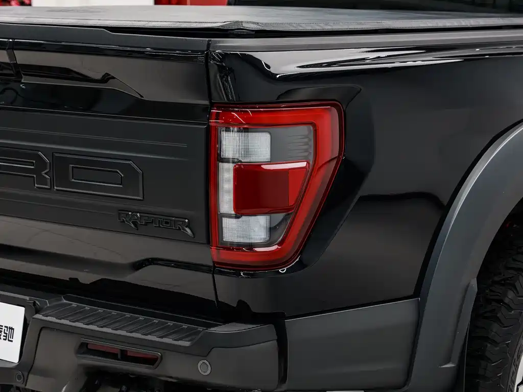 Ford 2023 Ford F-150 Raptor 3.5T 2023 - thumbnail 9