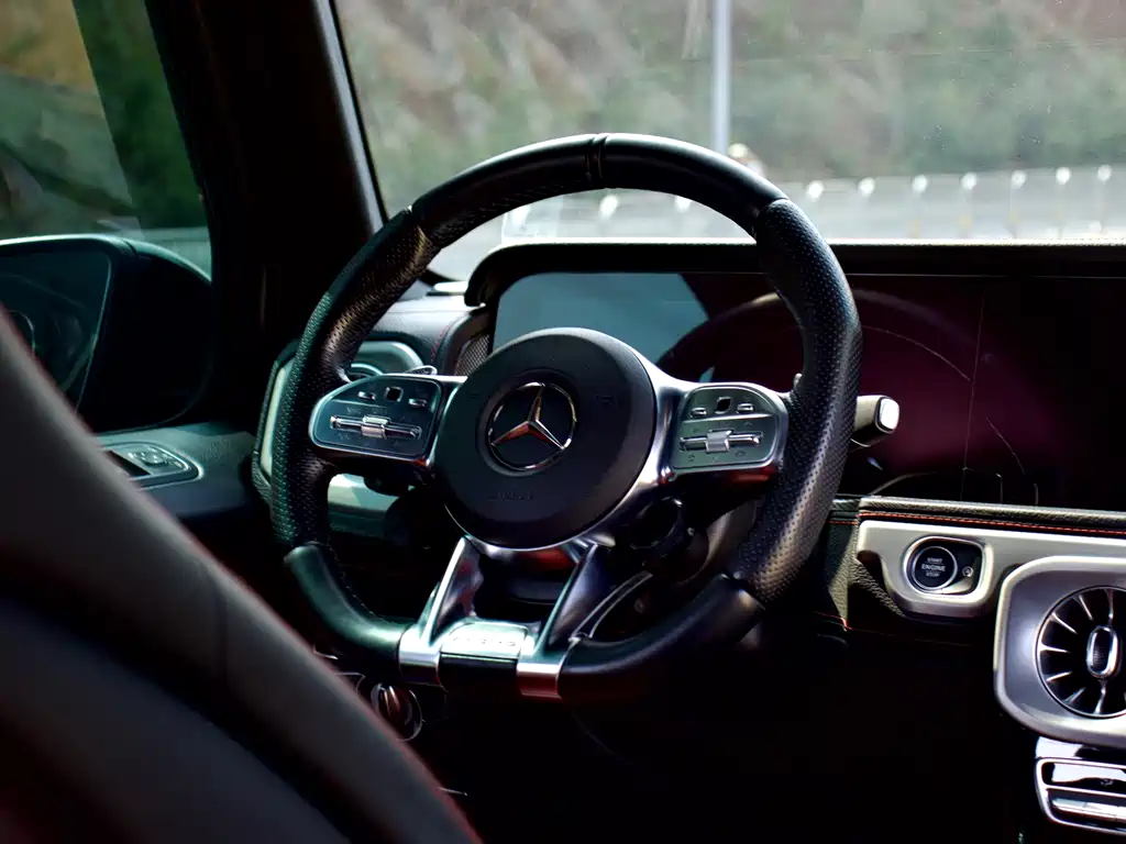 Mercedes-Benz Mercedes-AMG G 63 2019 First Edition 2018 - thumbnail 13