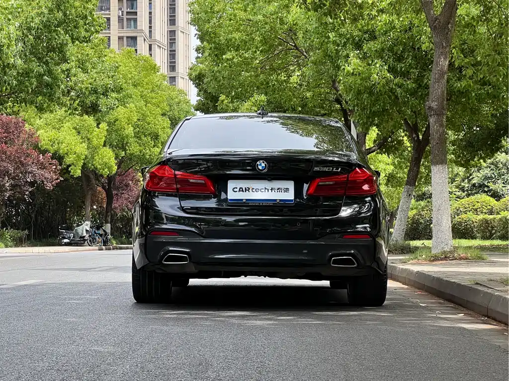 BMW BMW 5 Series 2020 530Li Leading Model M Sport Package 2020 - thumbnail 4
