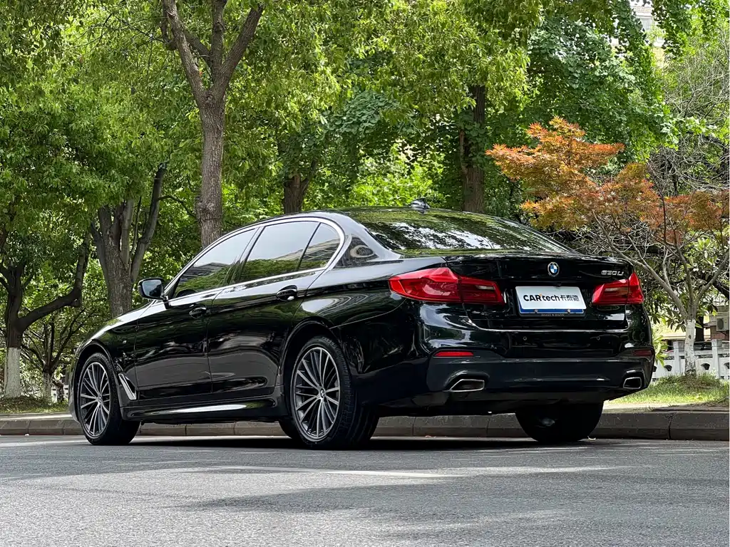 BMW BMW 5 Series 2020 530Li Leading Model M Sport Package 2020 - thumbnail 6