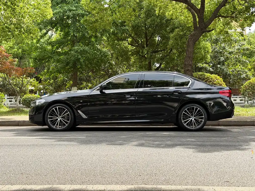 BMW BMW 5 Series 2020 530Li Leading Model M Sport Package 2020 - thumbnail 7