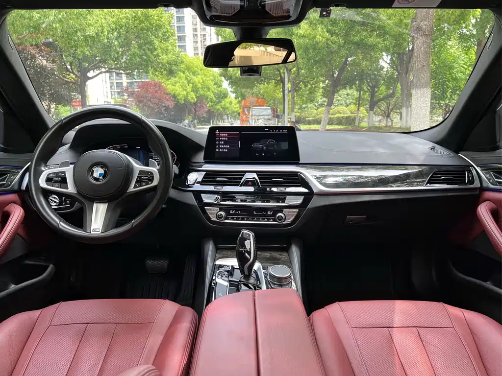 BMW BMW 5 Series 2020 530Li Leading Model M Sport Package 2020 - thumbnail 8
