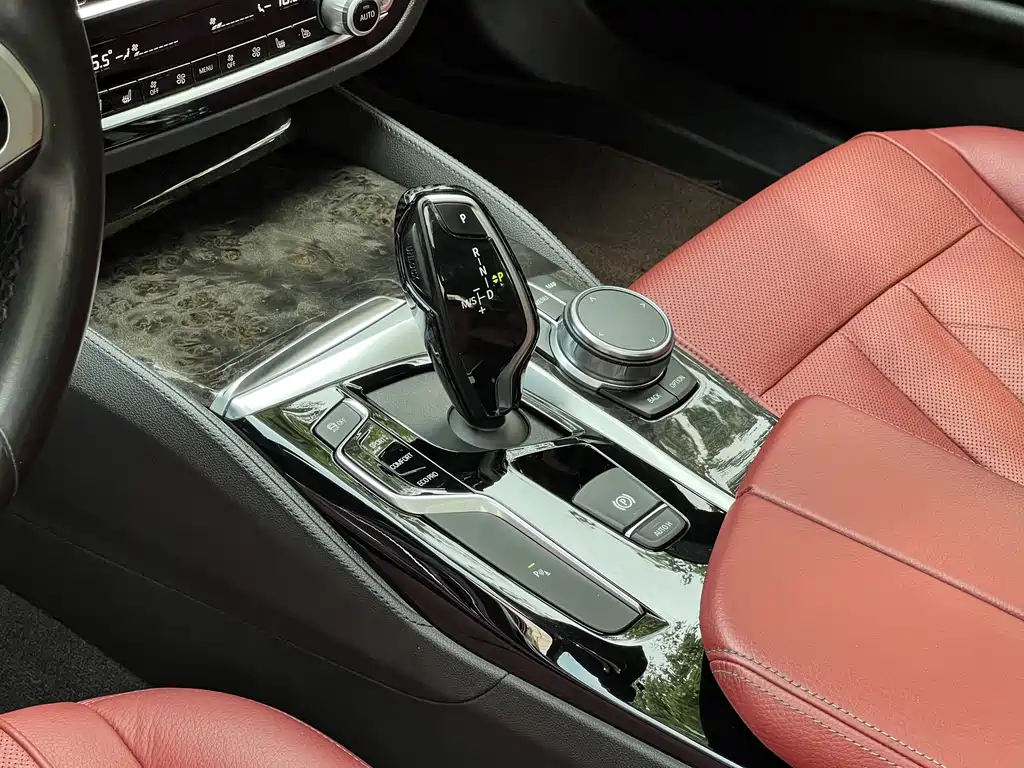BMW BMW 5 Series 2020 530Li Leading Model M Sport Package 2020 - thumbnail 18