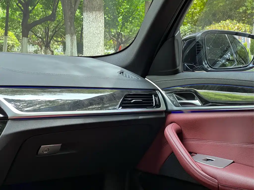 BMW BMW 5 Series 2020 530Li Leading Model M Sport Package 2020 - thumbnail 20