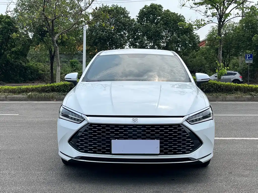 BYD BYD Qin PLUS 2021 DM-i 120KM Noble Edition 2021