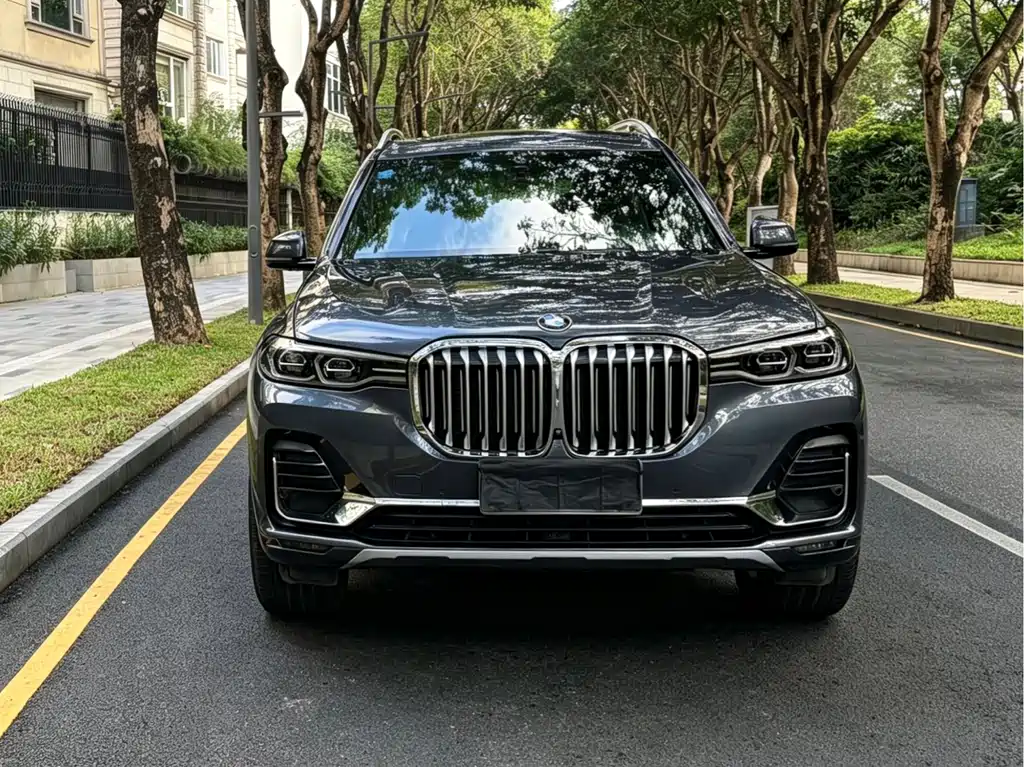 BMW BMW X7 2019 xDrive40i Leading Edition Luxury Package 2019 - thumbnail 2