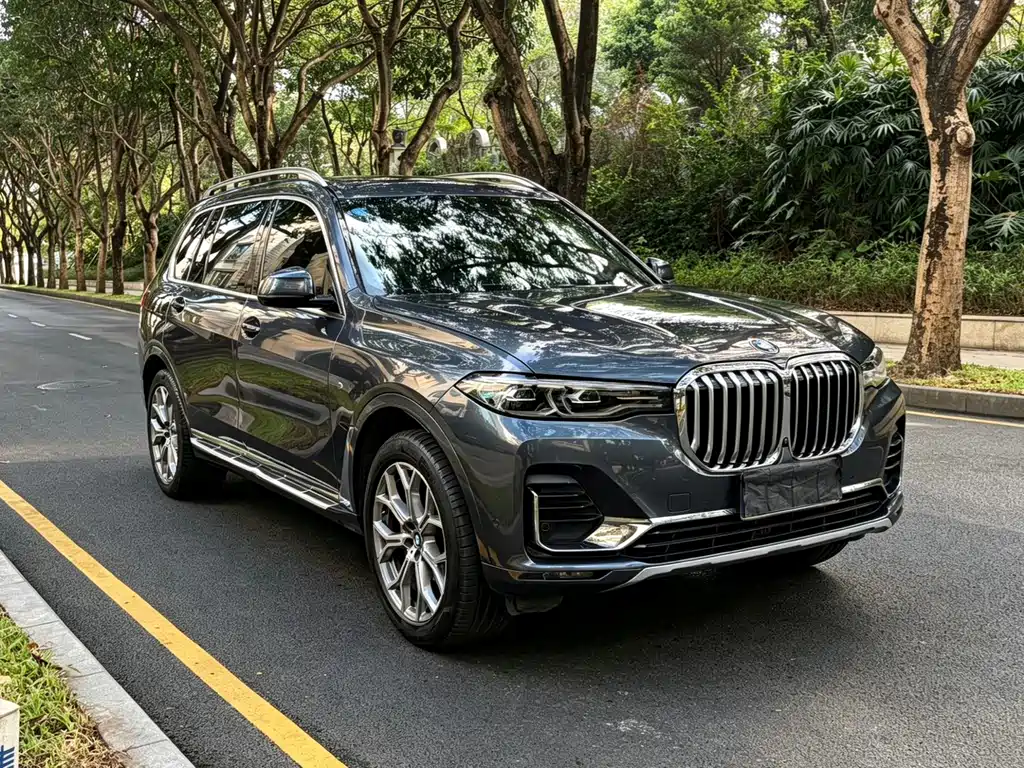 BMW BMW X7 2019 xDrive40i Leading Edition Luxury Package 2019 - thumbnail 3