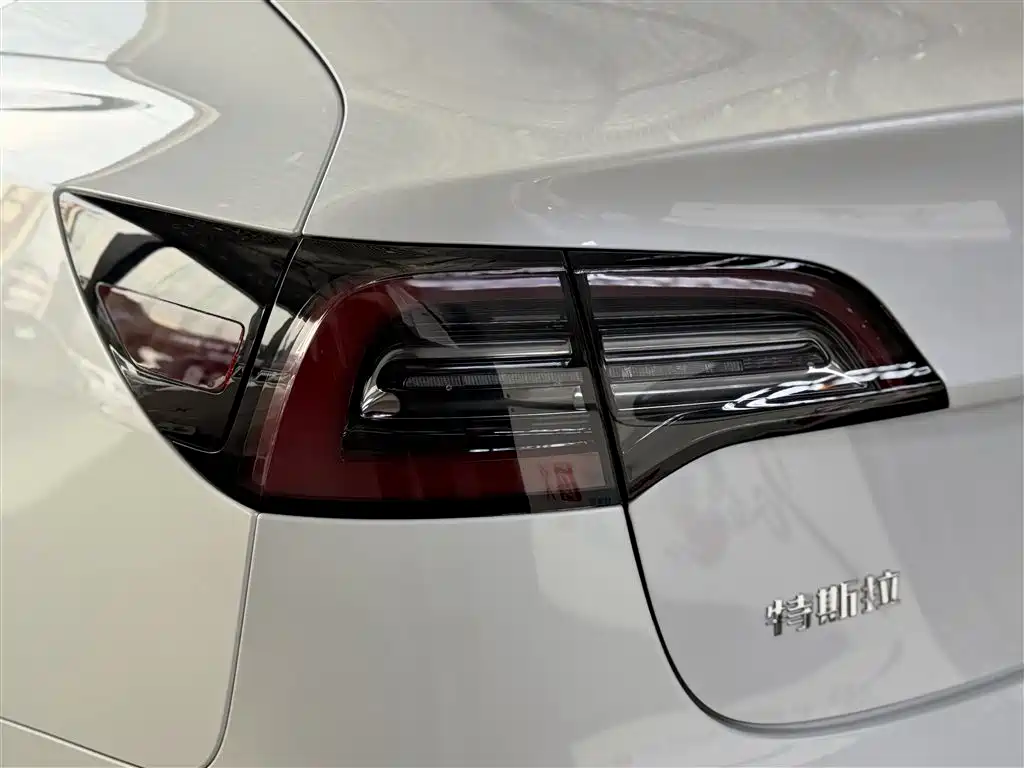 Tesla 2019 Tesla Model 3 Standard Range Plus RWD 2020 - thumbnail 10
