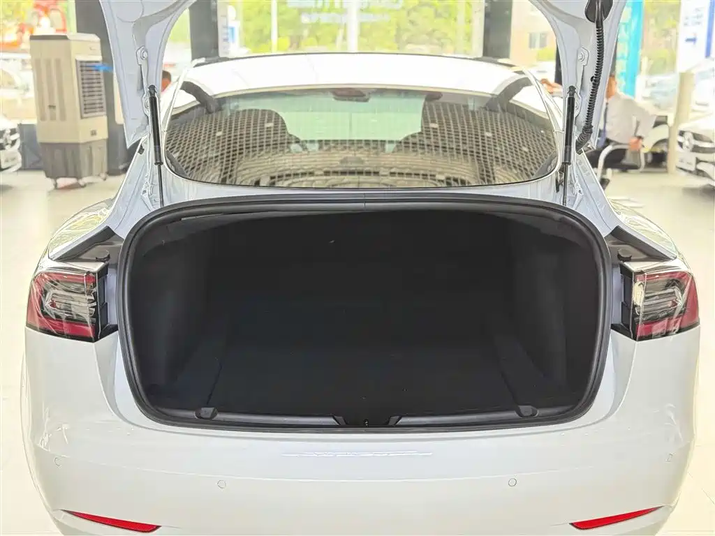 Tesla 2019 Tesla Model 3 Standard Range Plus RWD 2020 - thumbnail 13