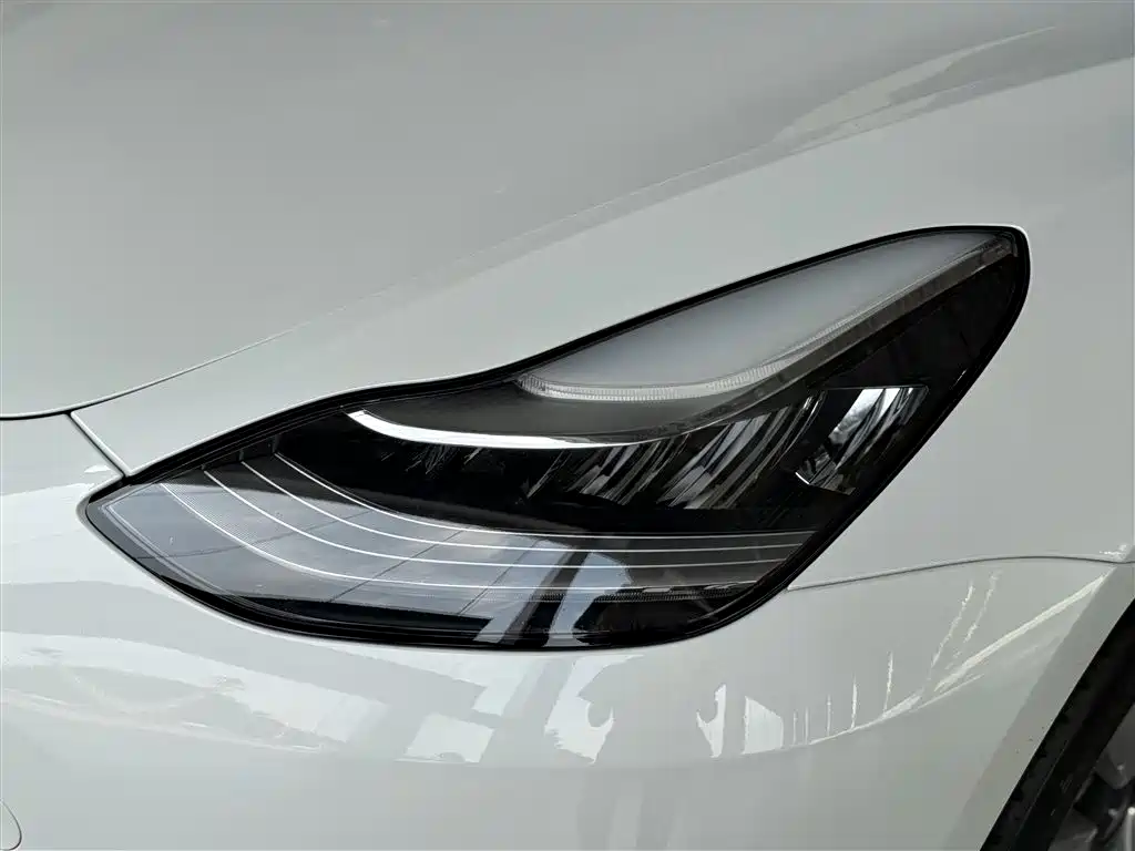 Tesla 2019 Tesla Model 3 Standard Range Plus RWD 2020 - thumbnail 14