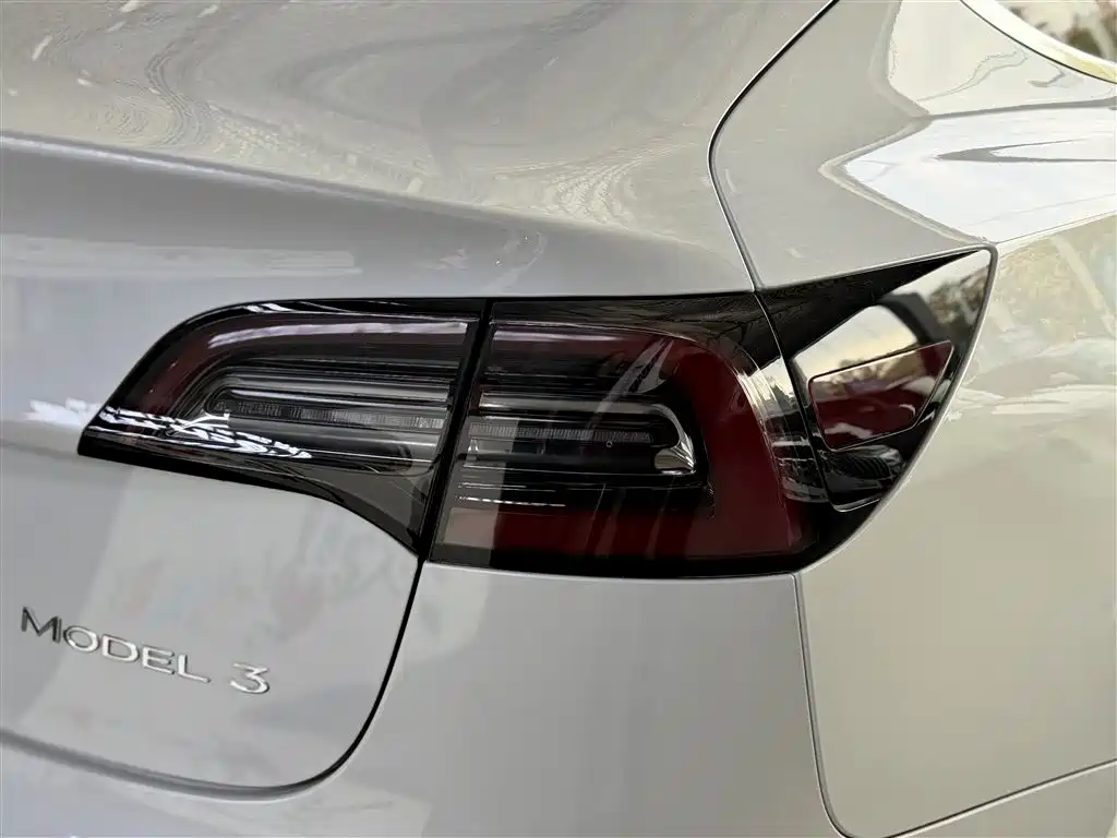 Tesla 2019 Tesla Model 3 Standard Range Plus RWD 2020 - thumbnail 15