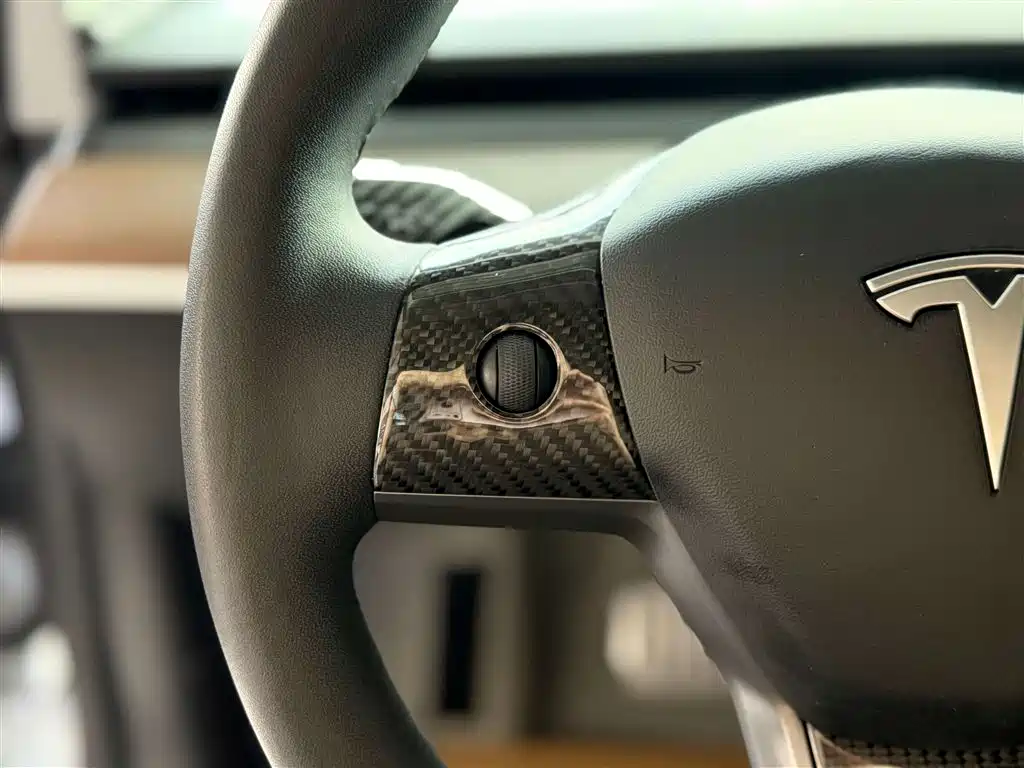 Tesla 2019 Tesla Model 3 Standard Range Plus RWD 2020 - thumbnail 17