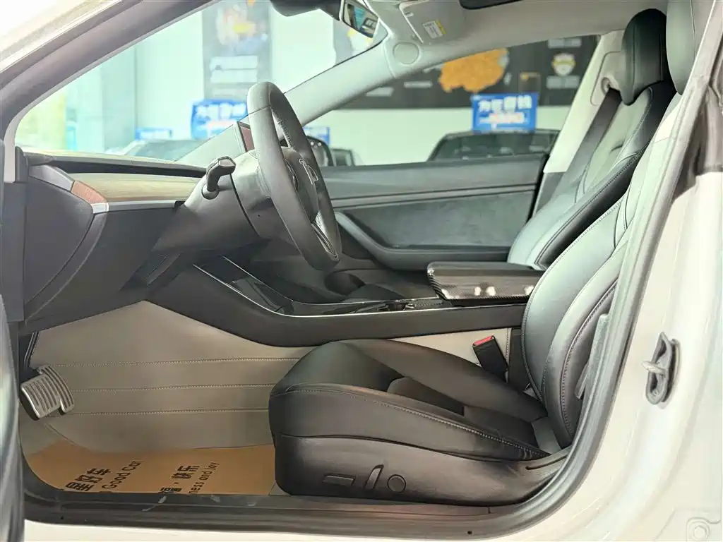 Tesla 2019 Tesla Model 3 Standard Range Plus RWD 2020 - thumbnail 20