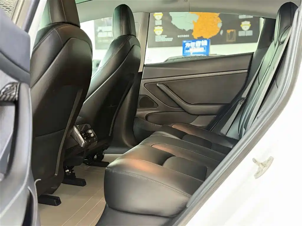 Tesla 2019 Tesla Model 3 Standard Range Plus RWD 2020 - thumbnail 22